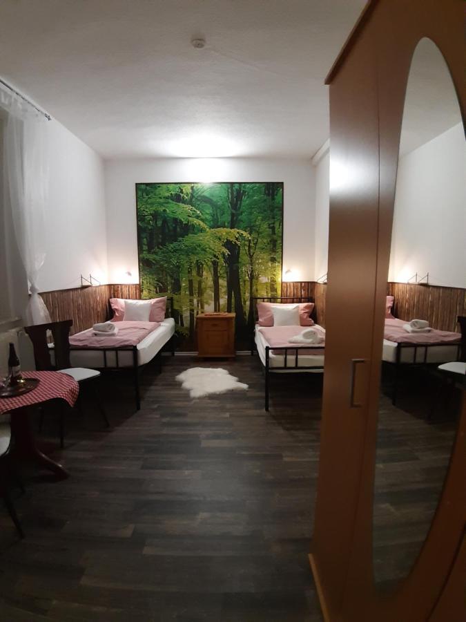 Pension Harzbikerharz Бад-Лаутерберг Екстер'єр фото