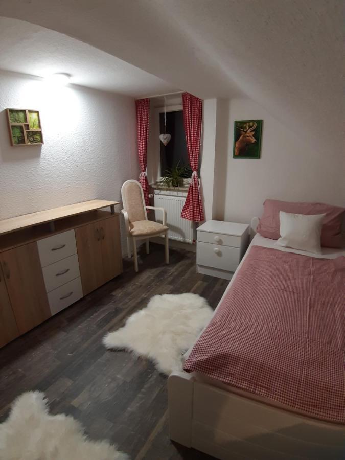 Pension Harzbikerharz Бад-Лаутерберг Екстер'єр фото